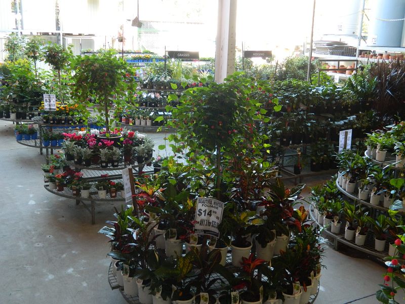 Mitre 10 Mega Beenleigh